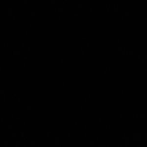 Meet your Posher, Hayley